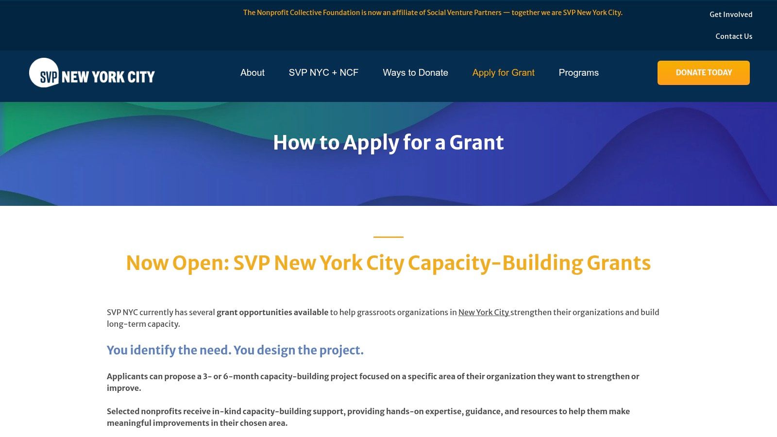 SVP NYC Capacity-Building Grants