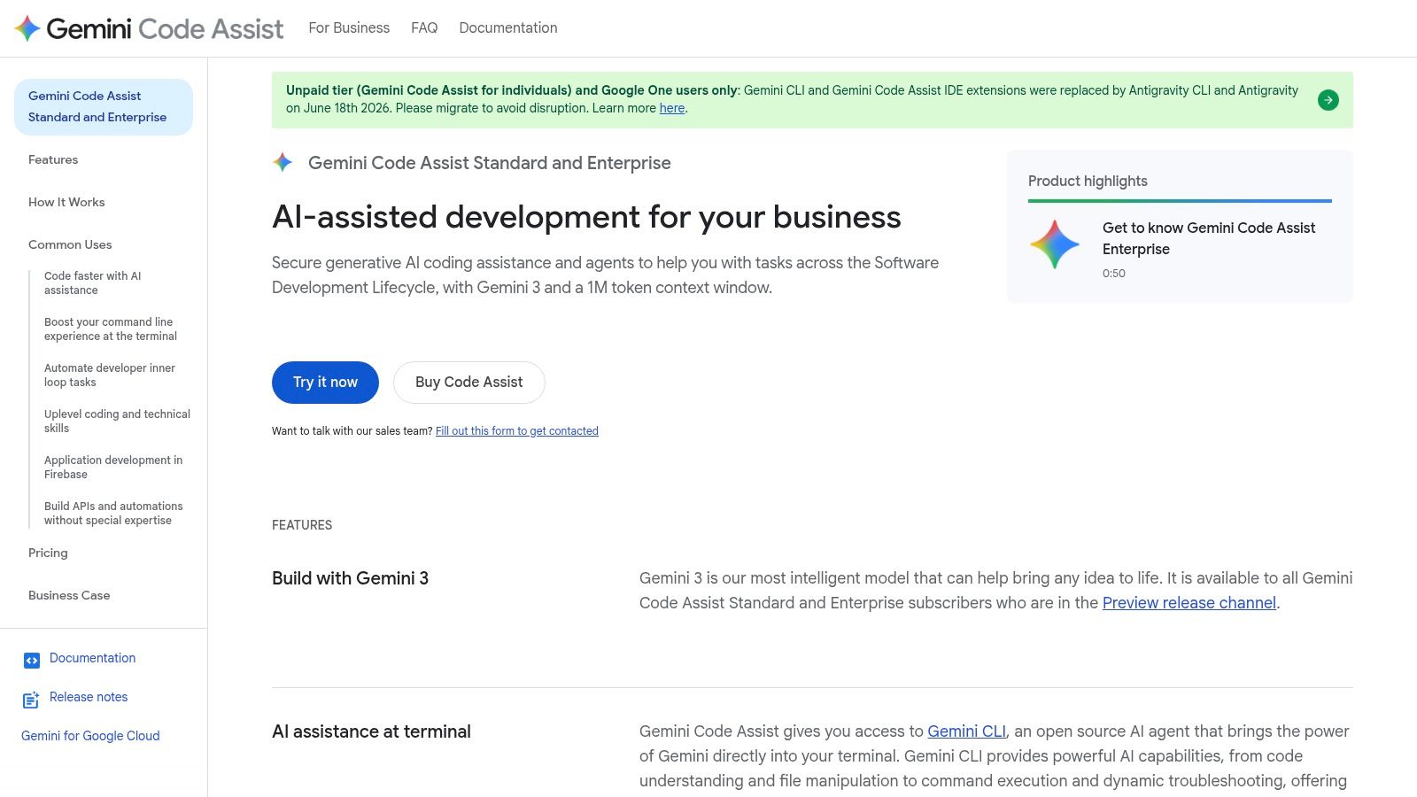 Google Gemini Code Assist