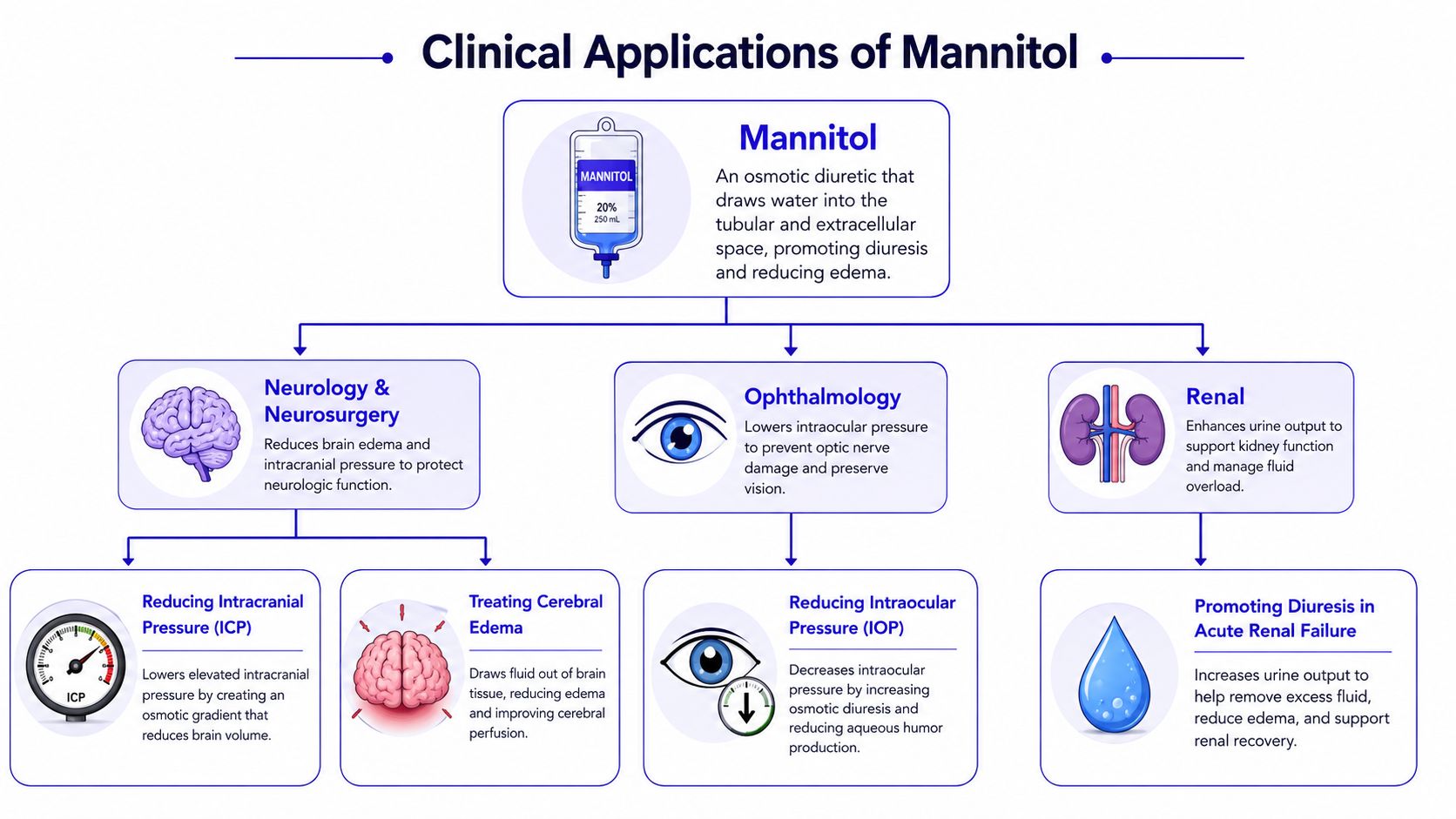 FindMyScript | Mannitol Mechanism of Action: A Clinical Explainer
