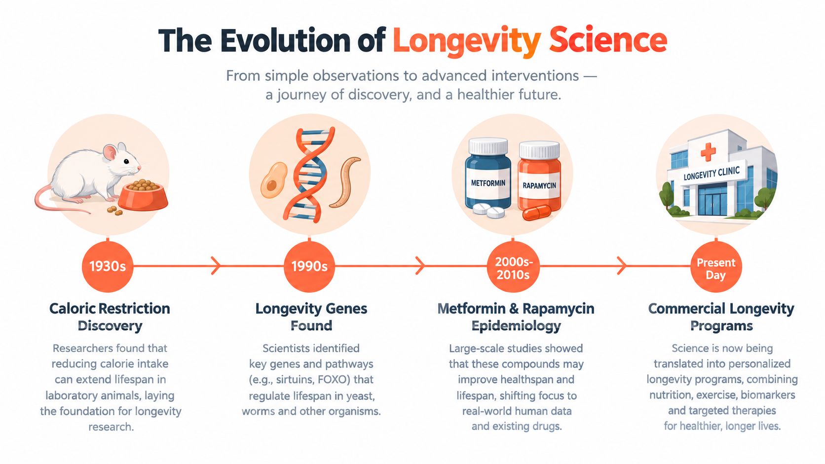 A timeline infographic illustrating the evolution of longevity science from caloric restriction to modern clinical programs.