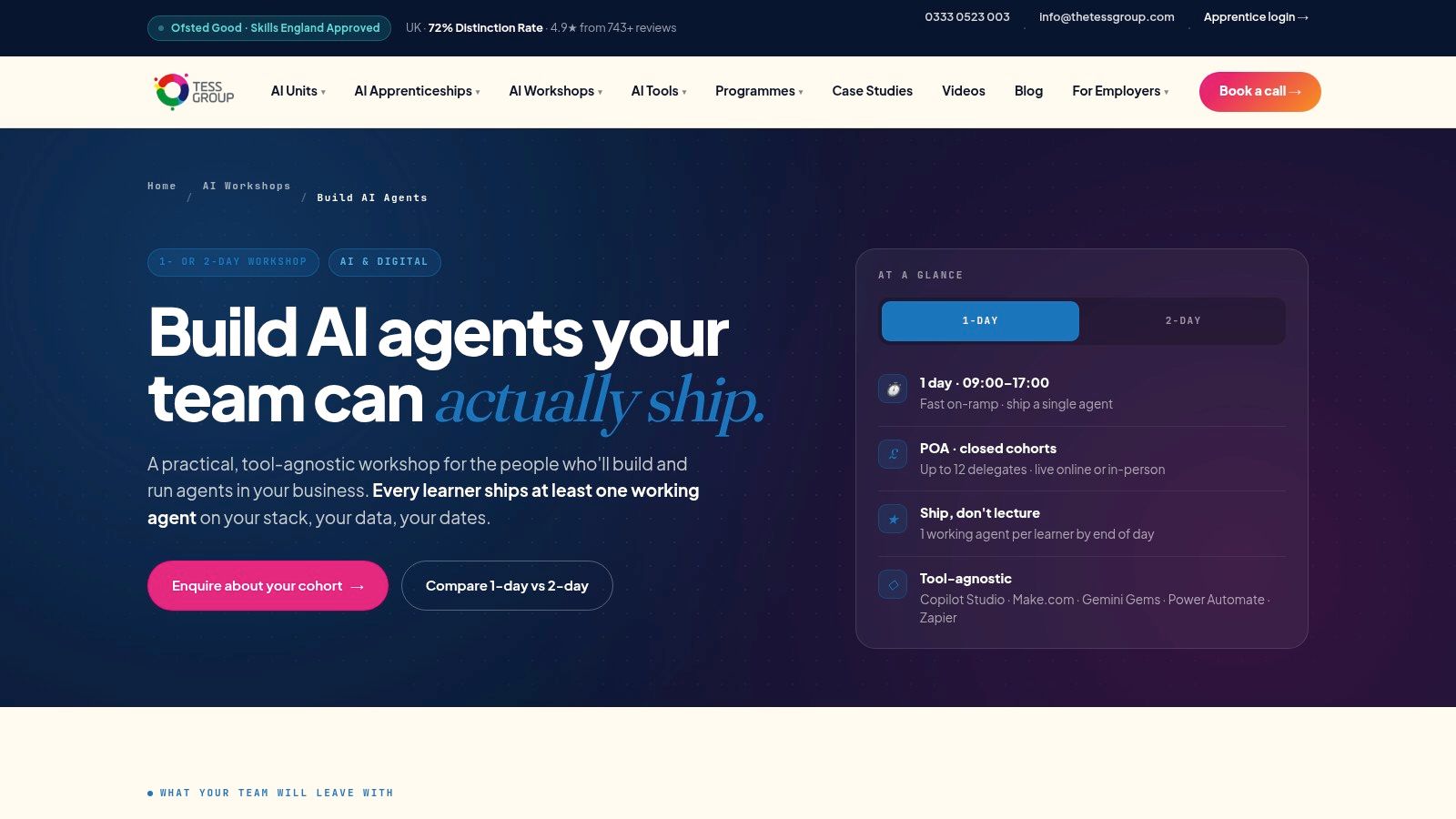 The TESS Group, Build AI Agents (workshop)