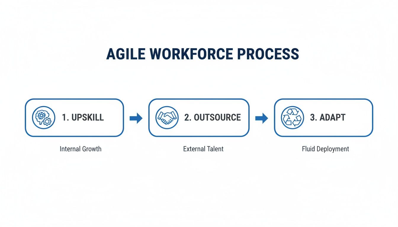A flowchart showing the three-step Agile Workforce Process: Upskill, Outsource, and Adapt.