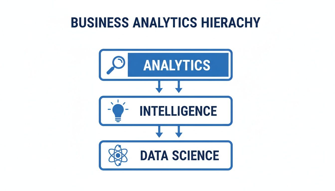 Diagrama hierárquico de análise de negócio que ilustra a relação entre análise, inteligência e data science.