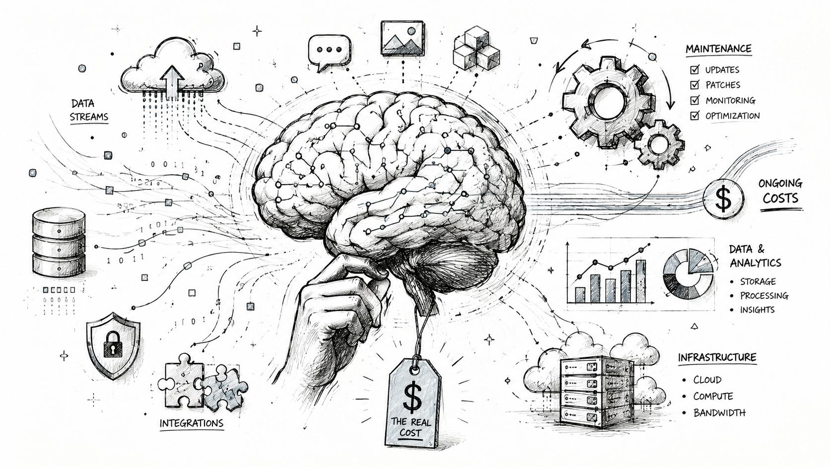 A conceptual sketch illustrating total cost of ownership for data-driven brain systems and IT infrastructure components.