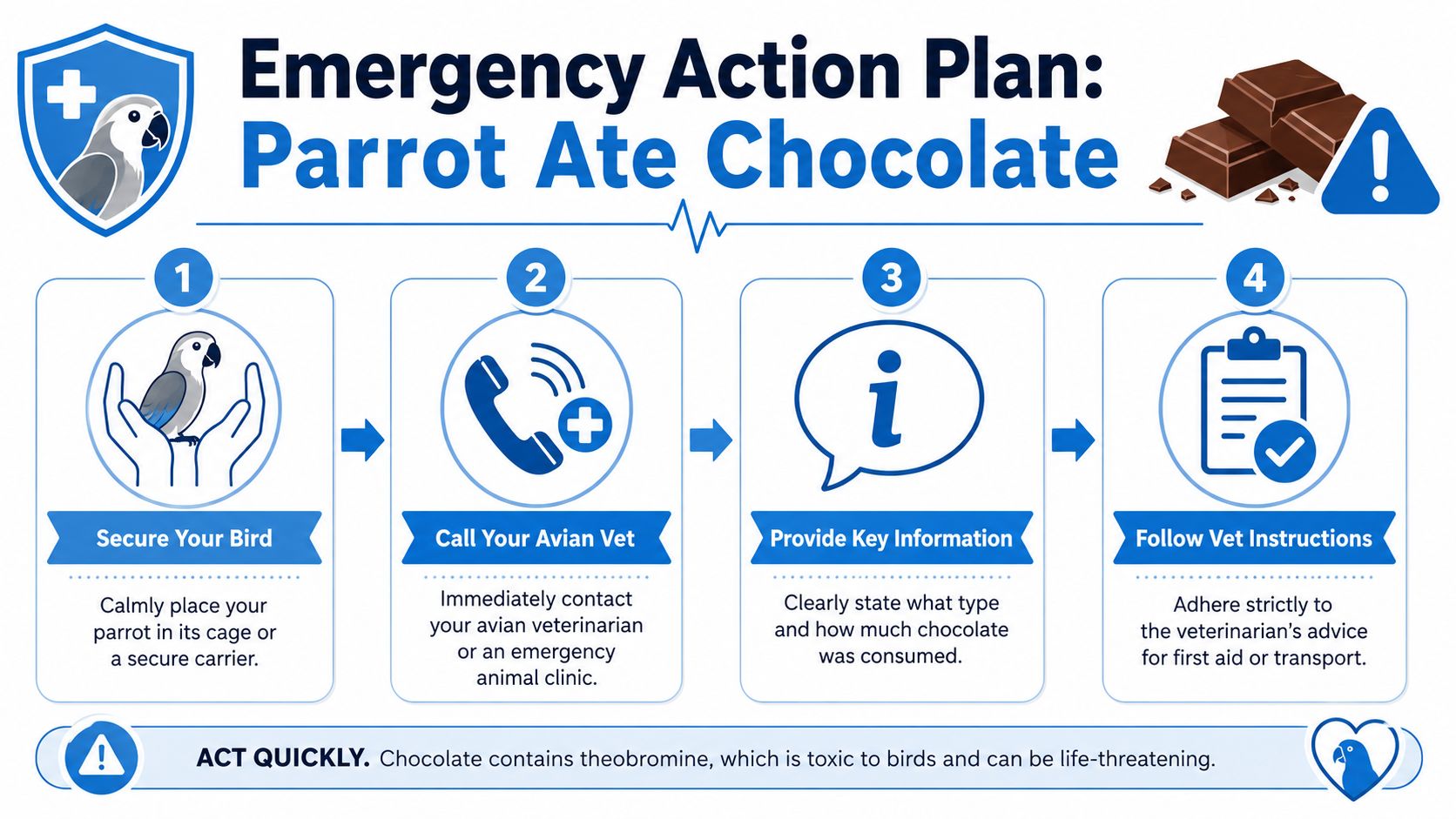 An infographic titled Emergency Action Plan for a parrot that has eaten toxic chocolate with four numbered steps.