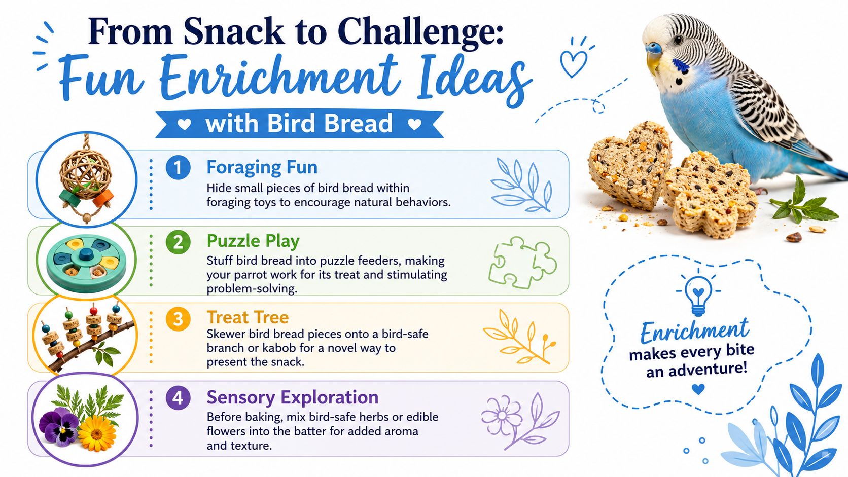An infographic showing four creative enrichment ideas for feeding pet birds, featuring a budgie and bird bread.