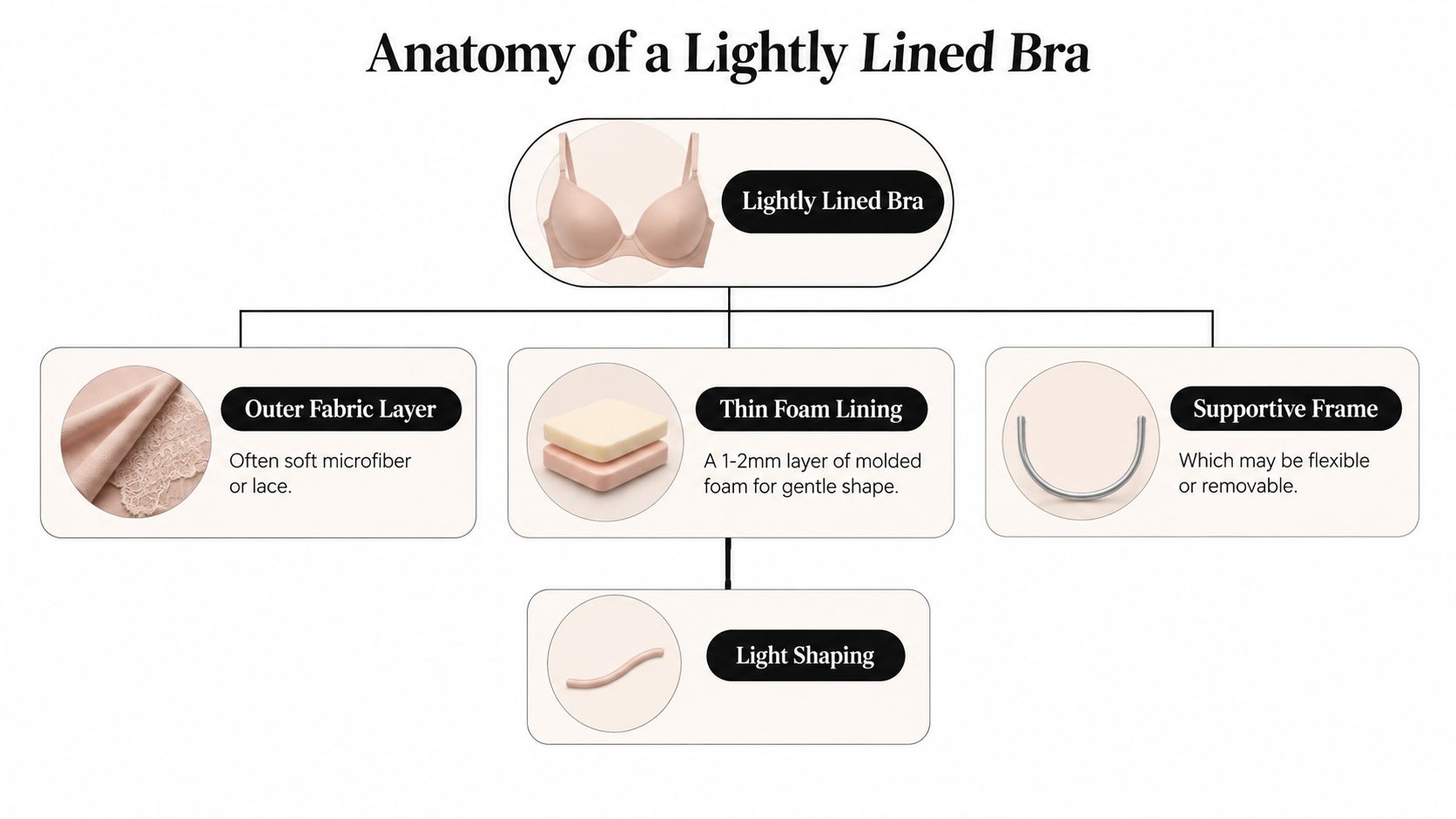 An infographic detailing the anatomy of a lightly lined bra, labeling its outer layer, foam lining, and supportive frame.