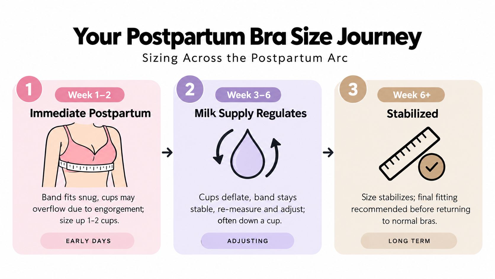 An infographic detailing the postpartum bra size journey across three stages from early days to long term.
