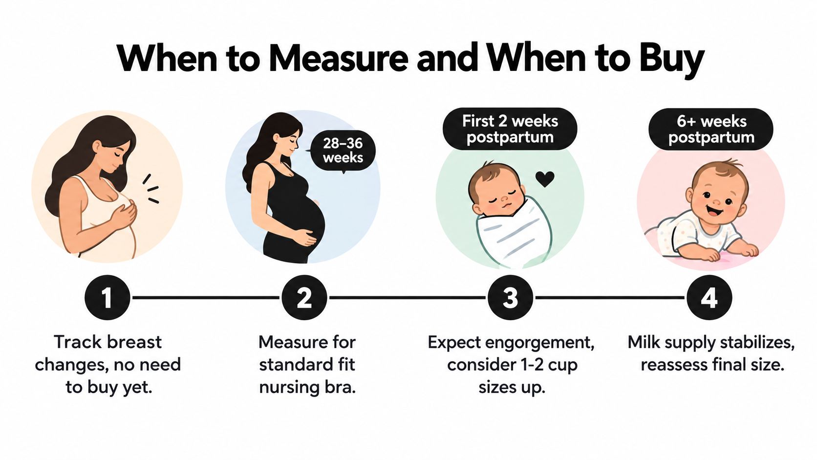 A guide illustrating the timeline for tracking breast changes and purchasing the correct size nursing bra.