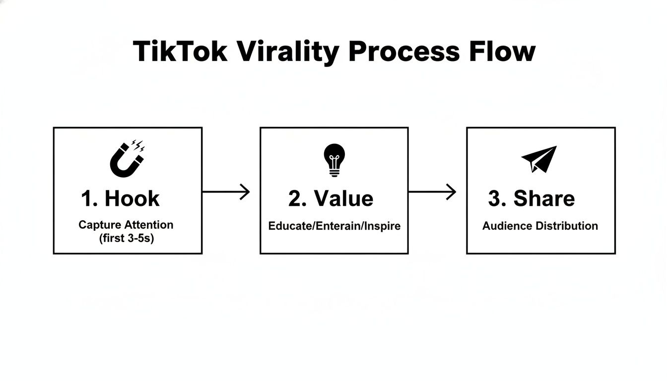 how to make viral tiktok videos tiktok virality