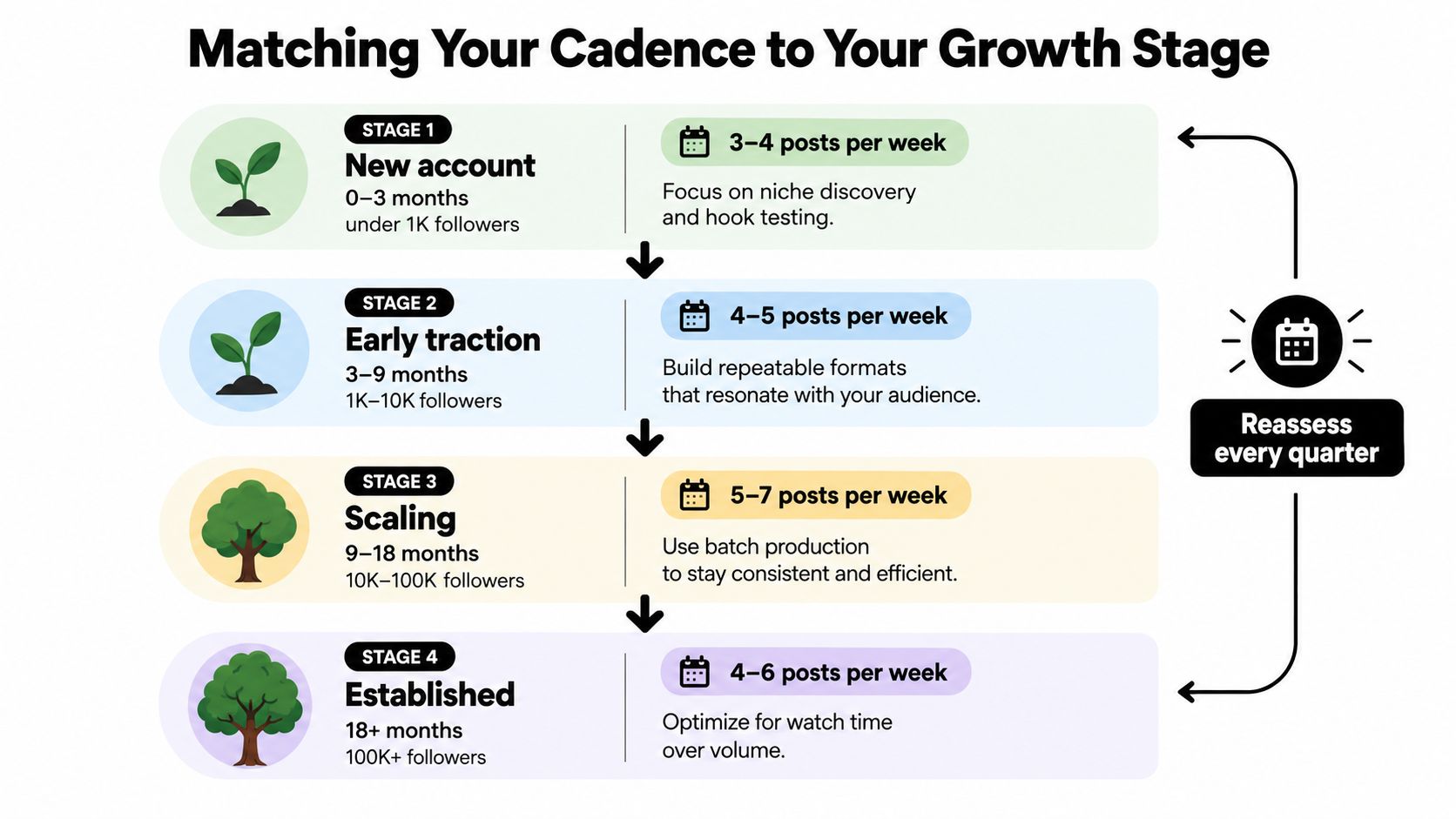 how often to post on tiktok for business growth strategy