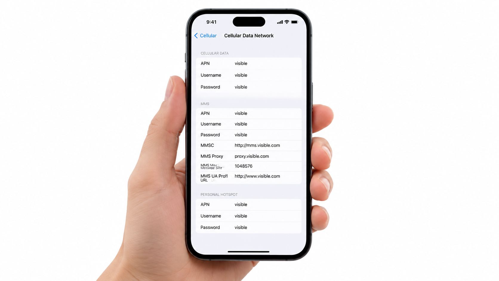 Screenshot from https://example.com/screenshots/visible-android-apn-add-screen.png