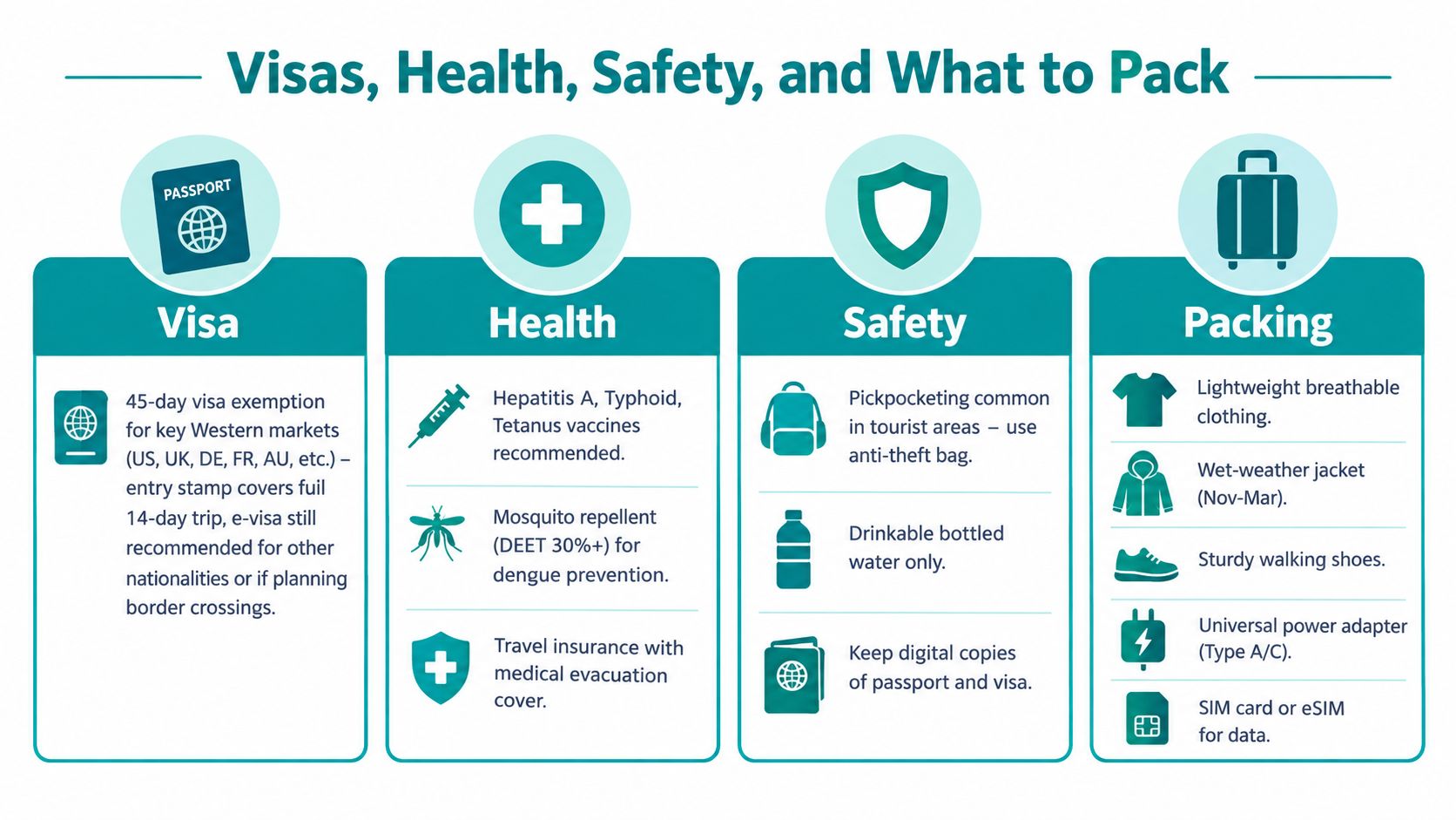 An infographic titled Visas, Health, Safety, and What to Pack for international travel planning purposes.