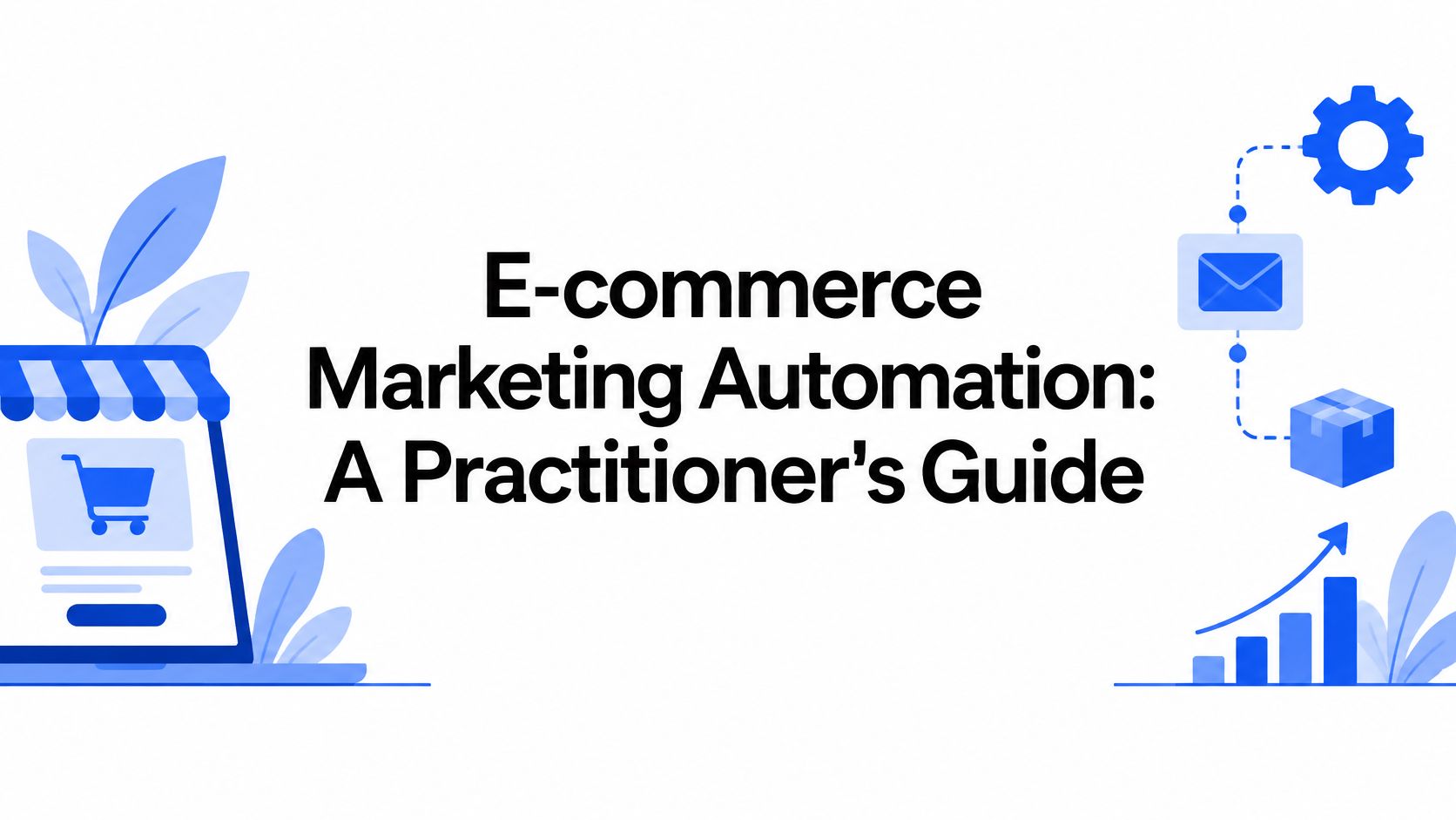 E-commerce Marketing Automation: A Practitioner's Guide
