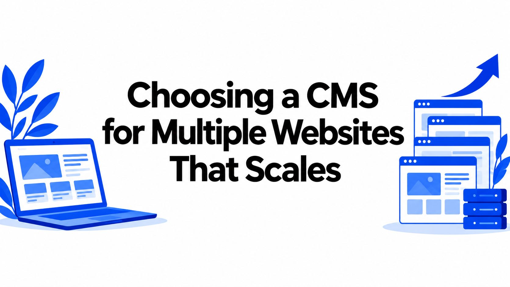 Choosing a CMS for Multiple Websites That Scales