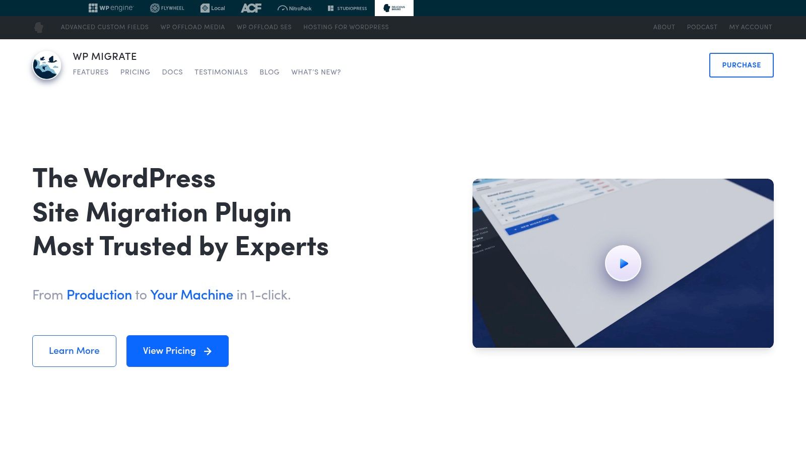 WP Migrate (by Delicious Brains / WP Engine)