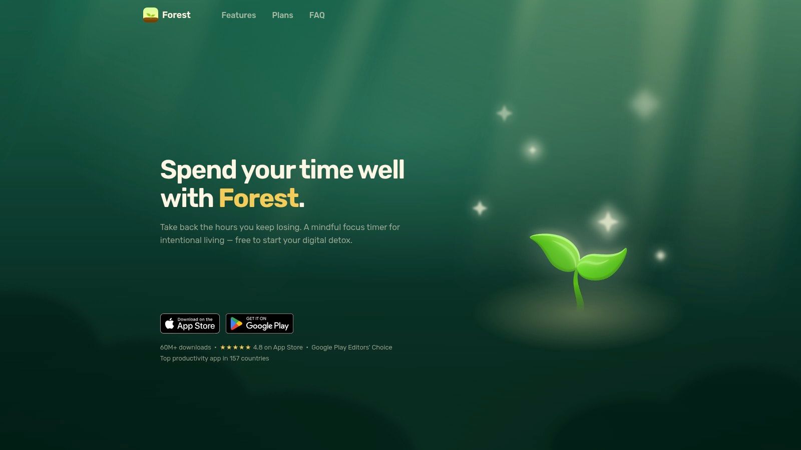 Forest