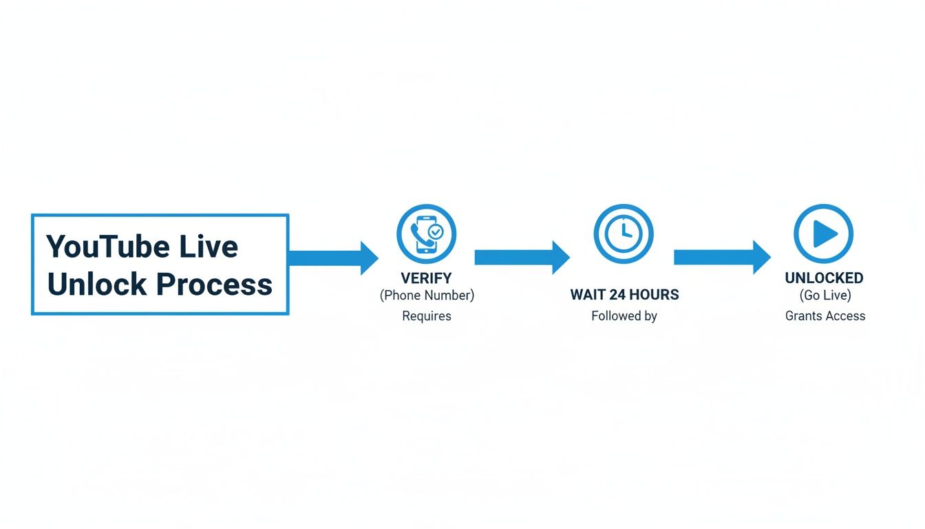 A flowchart showing the YouTube Live unlock process: Verify phone number, wait 24 hours, then access live streaming.
