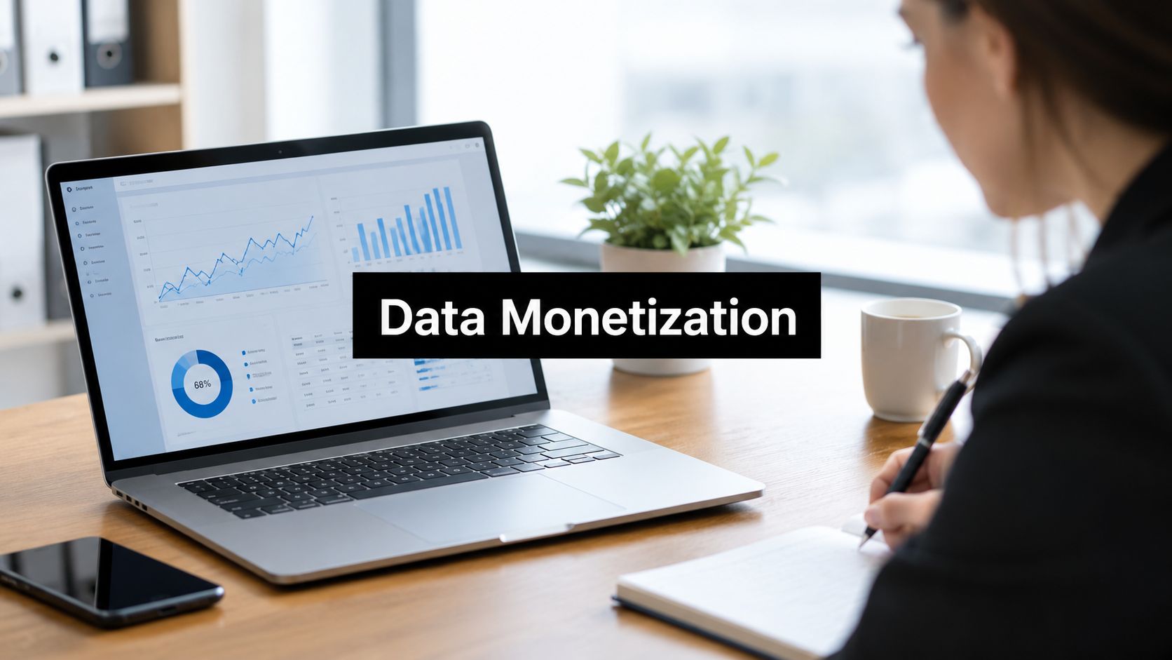 How to Sell Data: The Complete Monetization Playbook