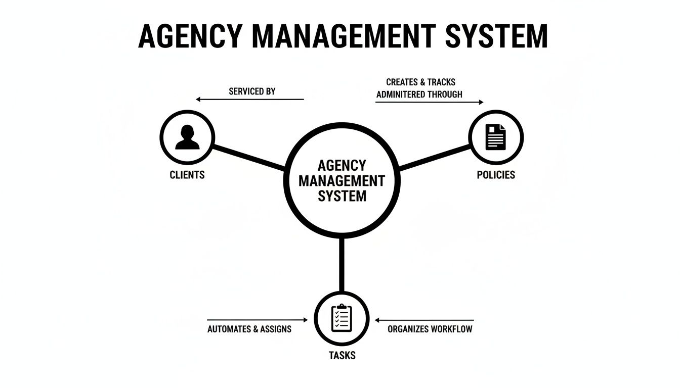 what is agency management system system diagram What is Agency Management System? Streamline Ops & Grow Your Agency An agency management system (AMS) is the software that runs your entire independent insurance agency. It’s the central hub for everything from client and policy details to accounting and daily to-do lists, all organized in one place. Diagram showing an Agency Management System connected to clients, policies, and tasks, detailing their interrelationships.