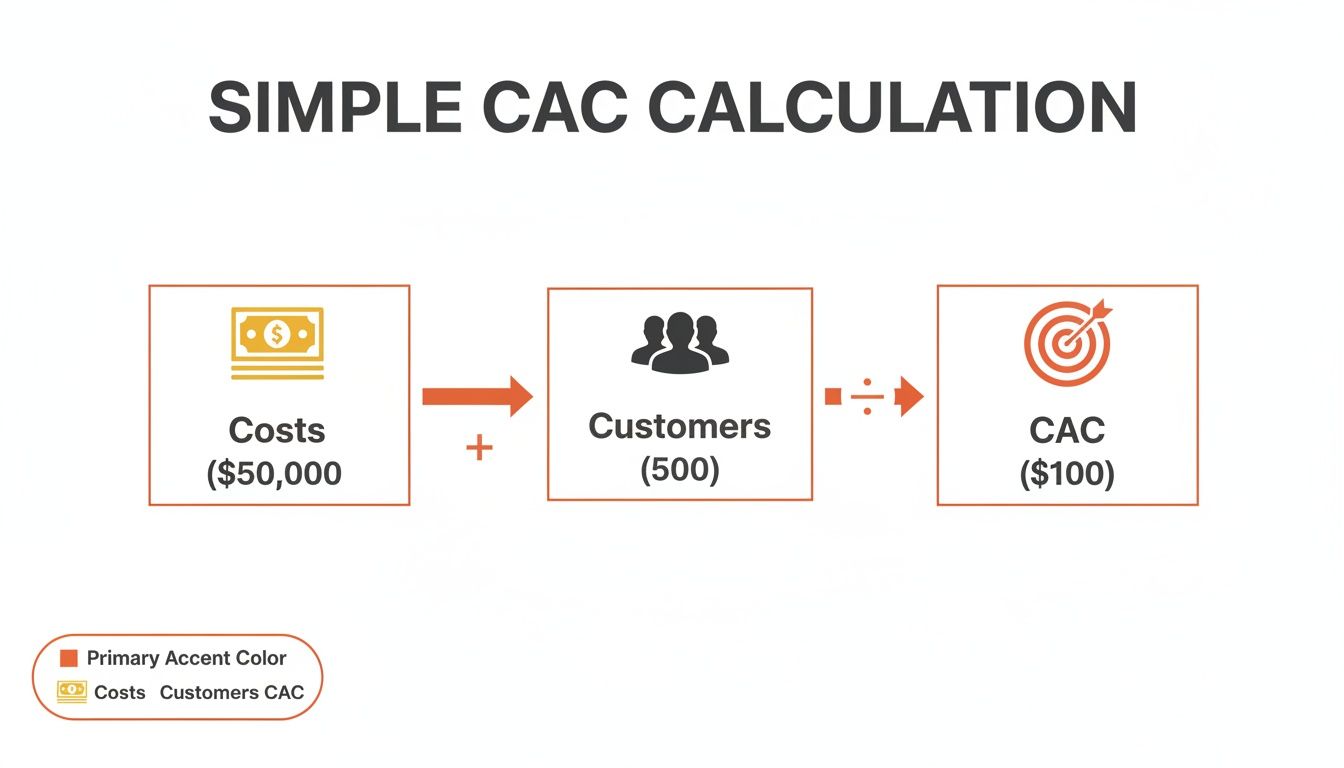 A Guide to Customer Acquisition Cost Calculation for Sustainable Growth