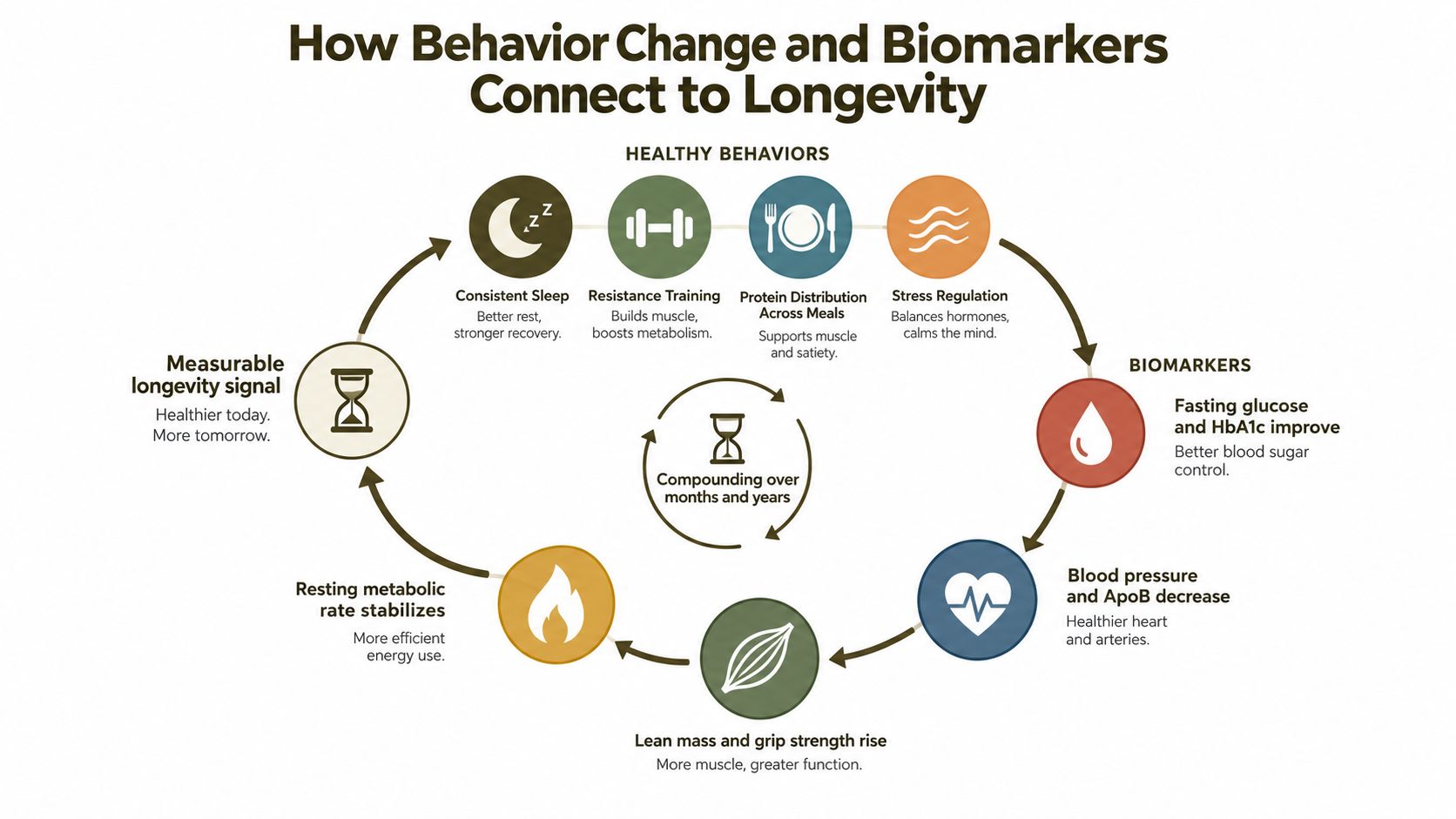 A diagram illustrating how healthy behaviors like sleep, exercise, and diet influence biomarkers to improve longevity.