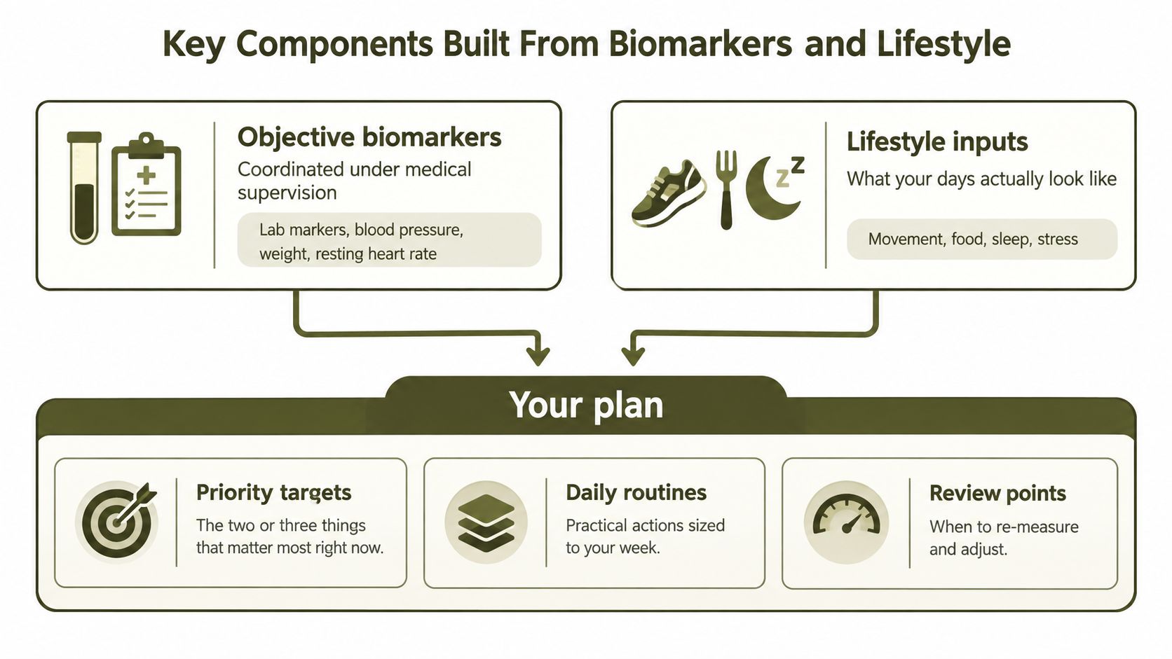 A diagram illustrating a personalized wellness plan built from medical biomarkers and daily lifestyle inputs.