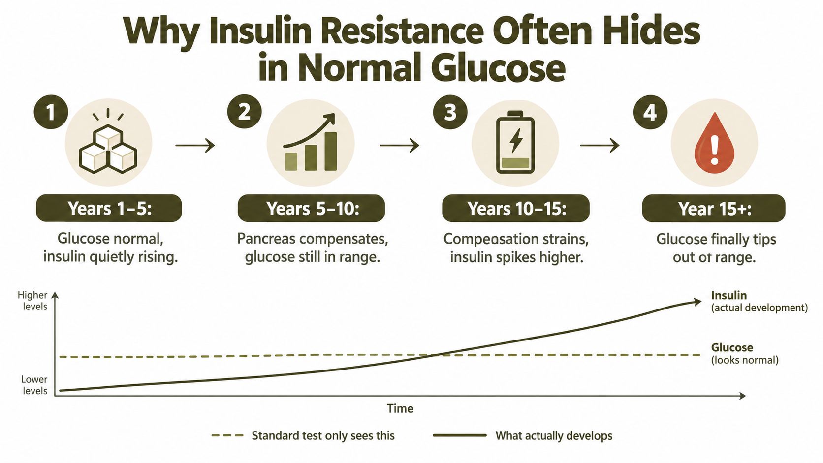 A four-stage chart showing how insulin levels rise over time while glucose levels remain normal for years.