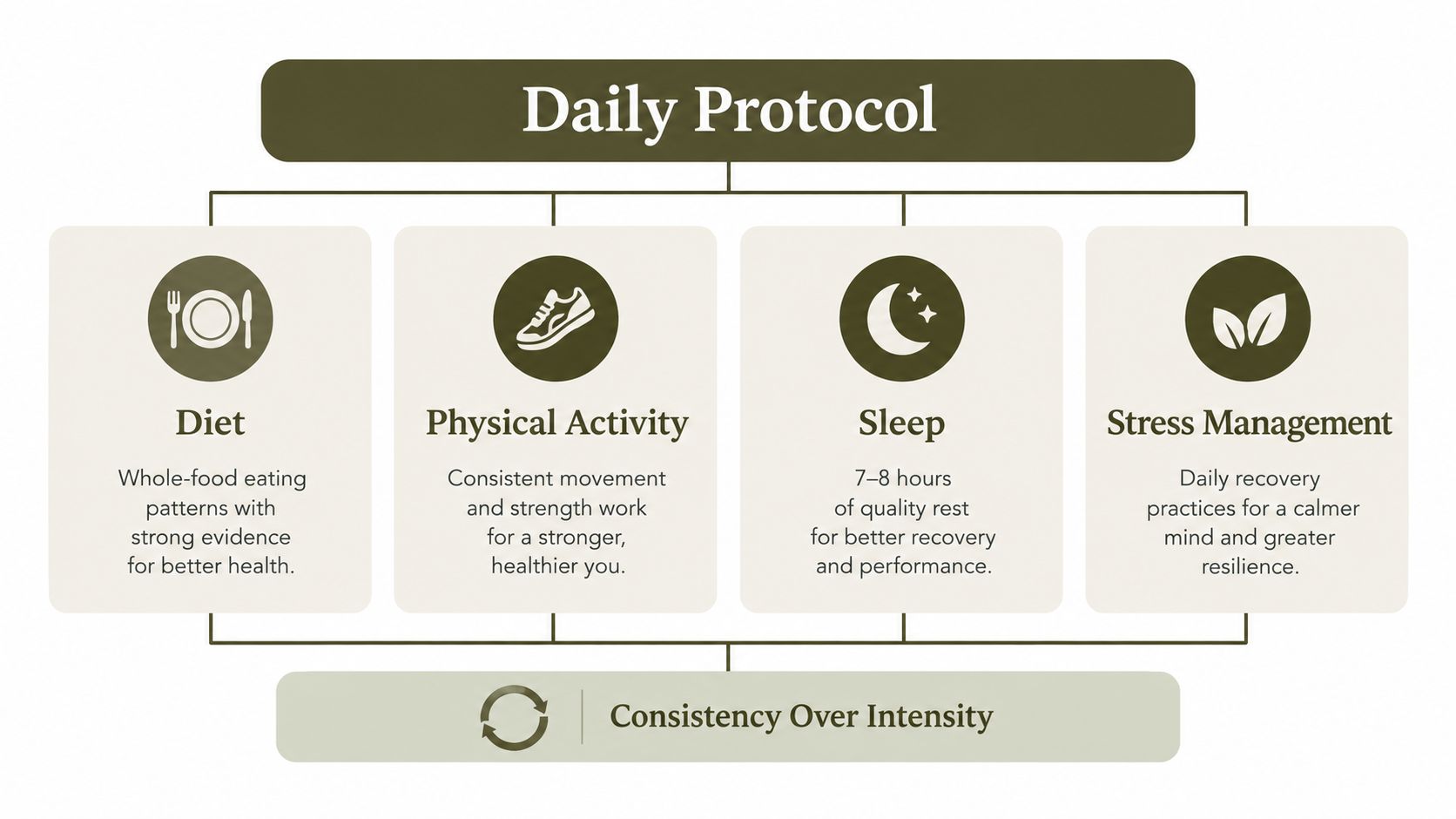 A diagram outlining a daily health protocol focused on diet, physical activity, sleep, and stress management.
