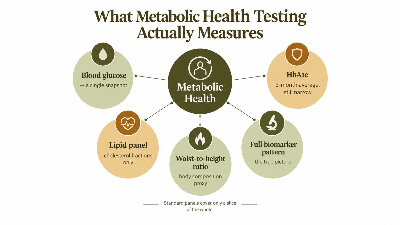 An infographic showing various metrics for assessing metabolic health, including blood glucose, HbA1c, and waist-to-height ratio.