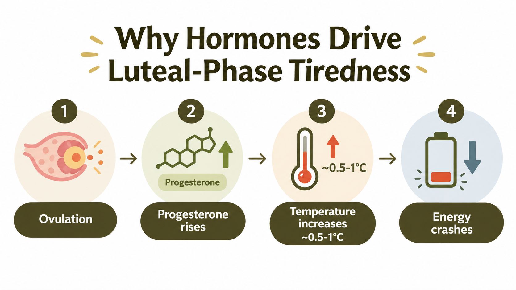 A diagram showing how hormones like progesterone cause increased body temperature and fatigue during the luteal phase.