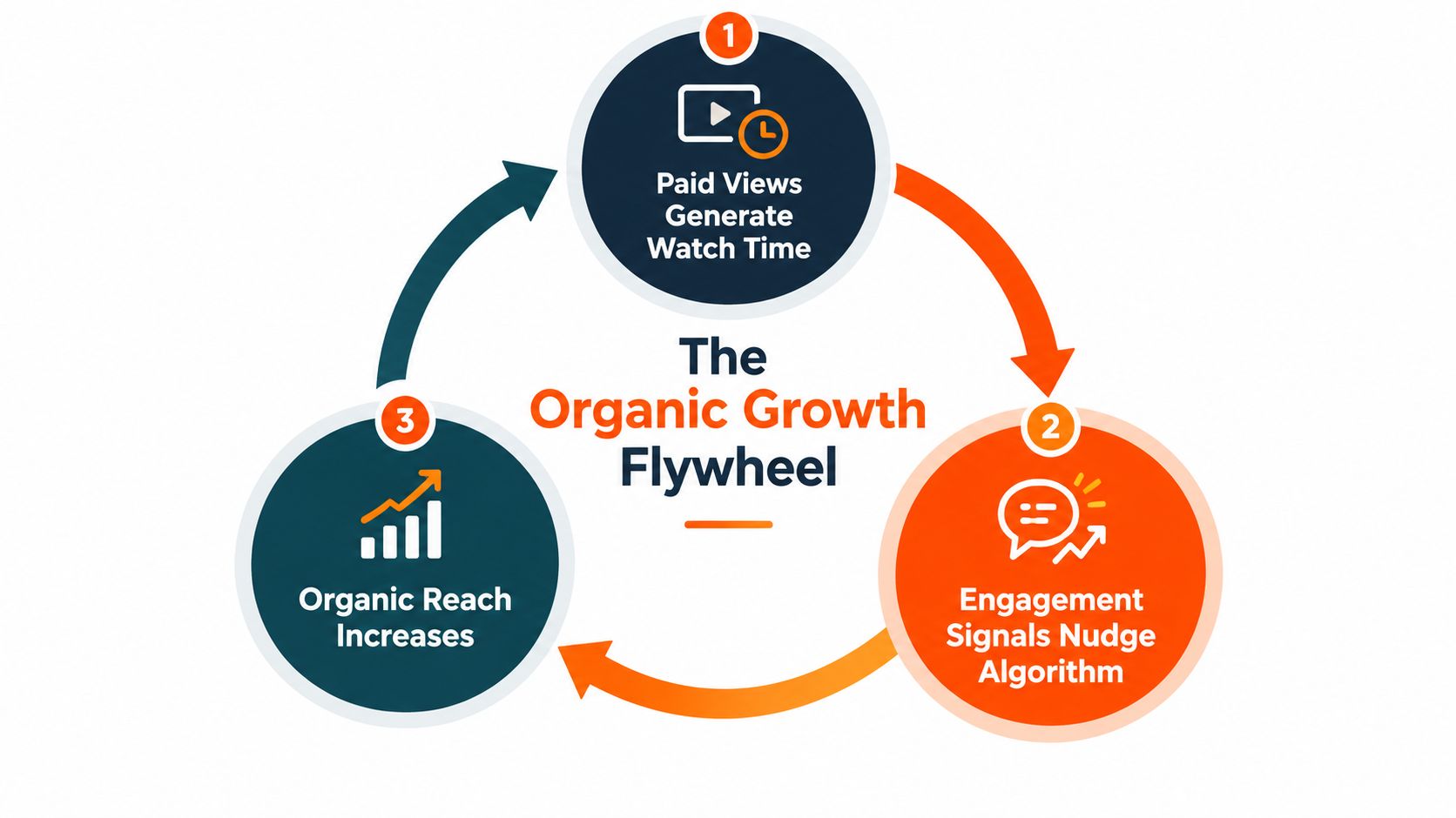 A diagram illustrating the organic growth flywheel cycle for YouTube, moving from paid views to engagement and reach.