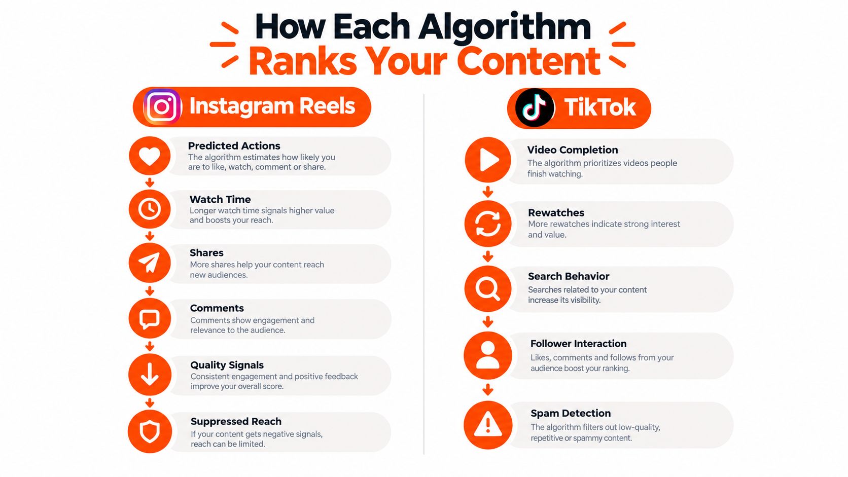 An infographic comparing how Instagram Reels and TikTok algorithms rank content based on user engagement signals.