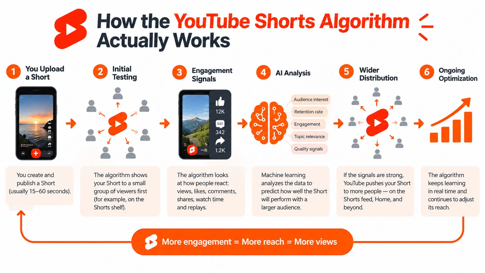 An infographic illustrating the six-step process of how the YouTube Shorts algorithm distributes and optimizes video content.