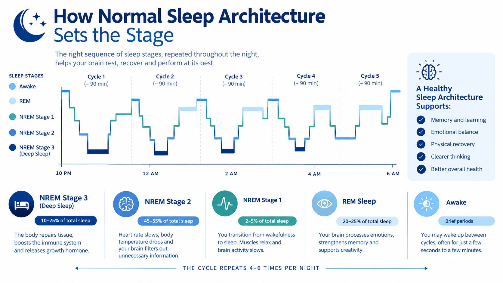 A diagram illustrating healthy human sleep architecture, showing cycles of NREM and REM sleep throughout the night.