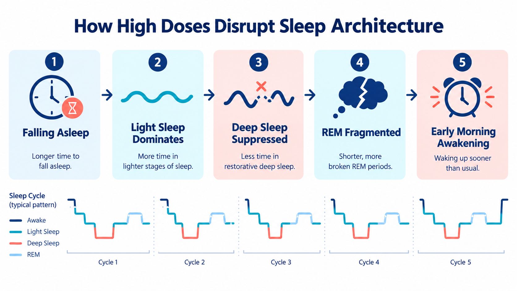 A diagram illustrating how high doses of melatonin disrupt sleep architecture through five stages of sleep.