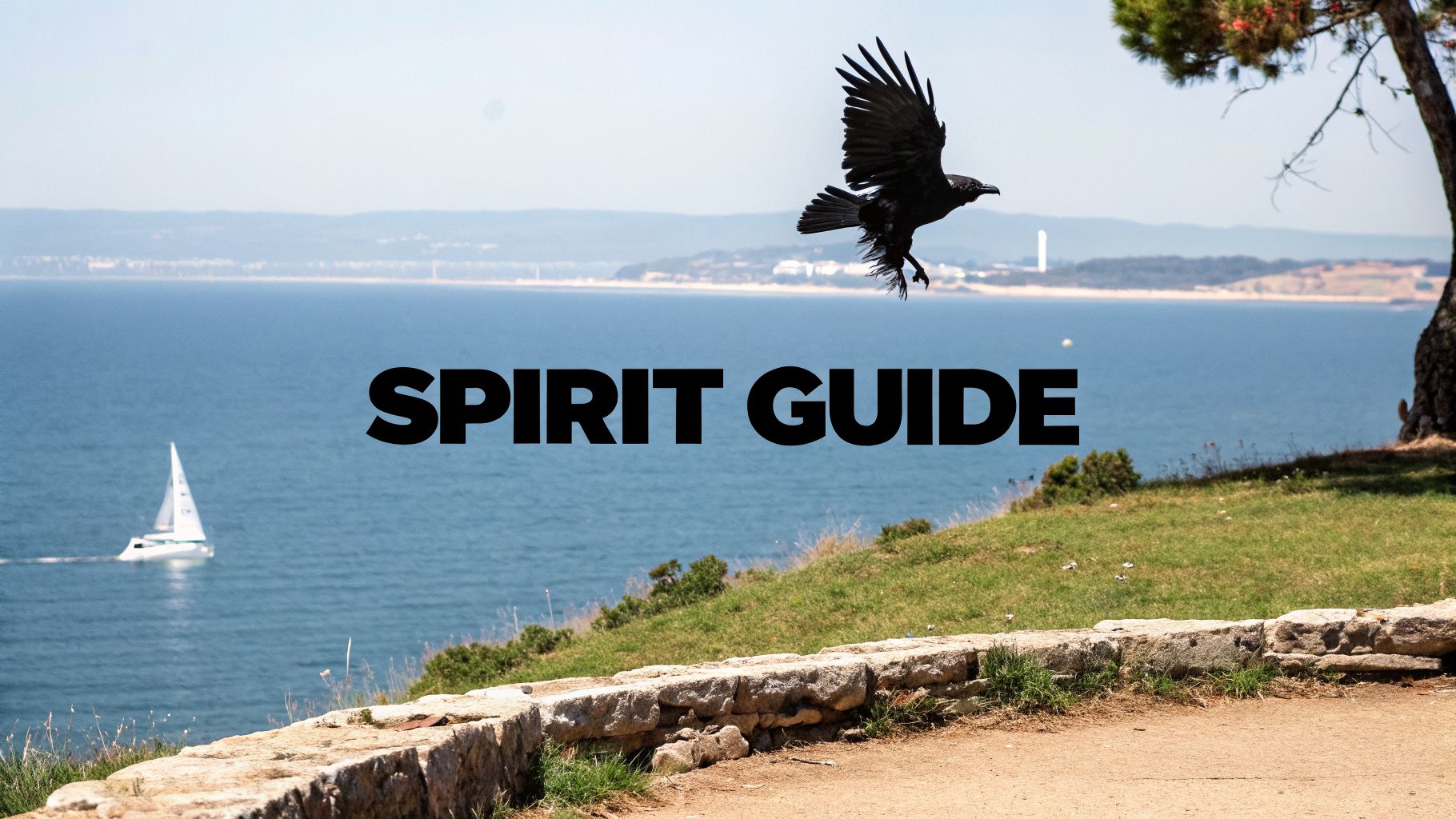 A striking image features a black crow flying over a serene ocean with a sailboat, and the text "SPIRIT GUIDE".