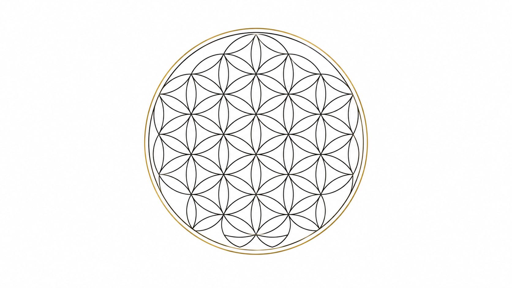 A geometric flower of life pattern composed of intersecting circles inside a thin gold outer ring.
