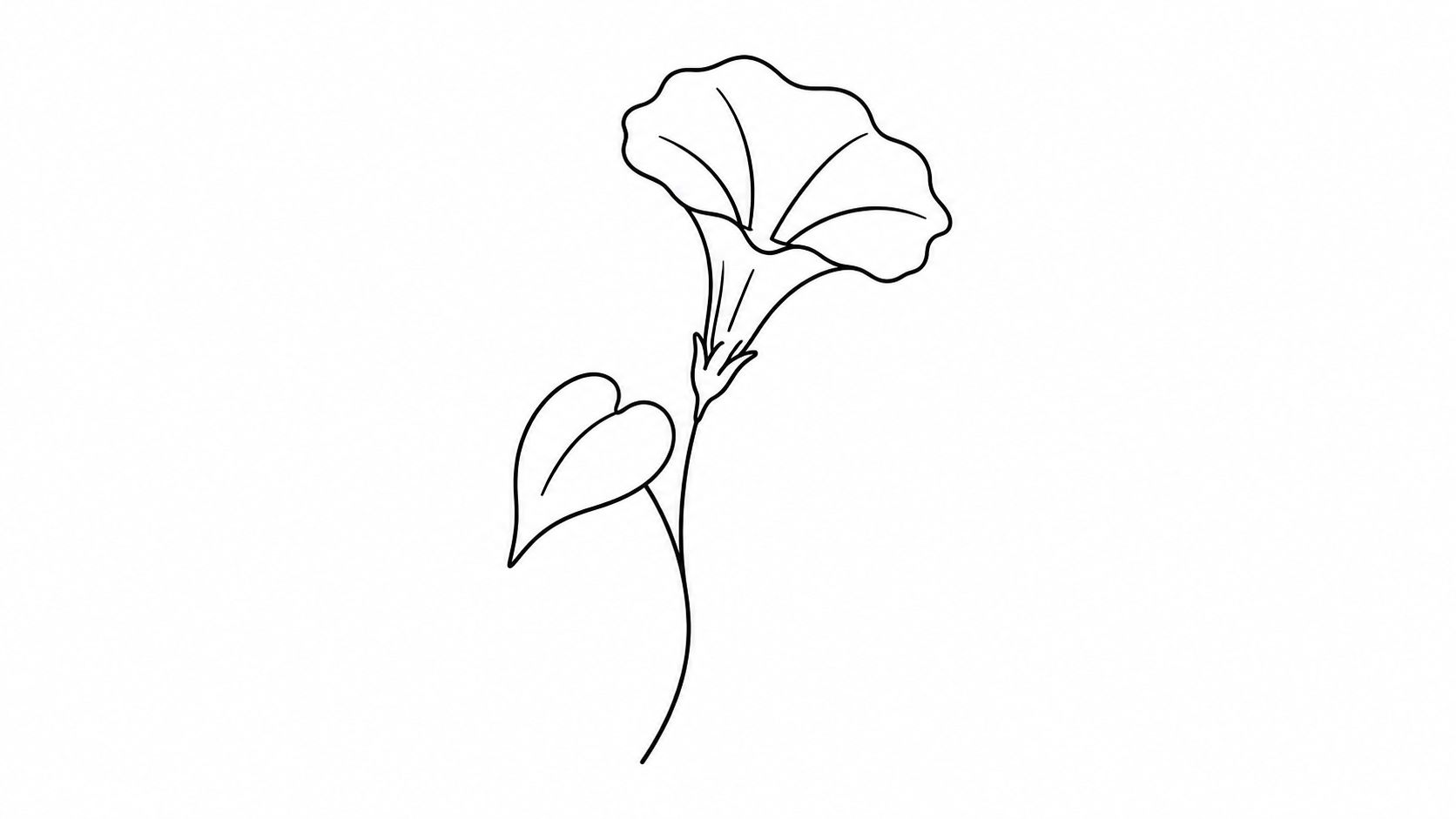 A minimalist black and white line art drawing of a single morning glory flower with one leaf.