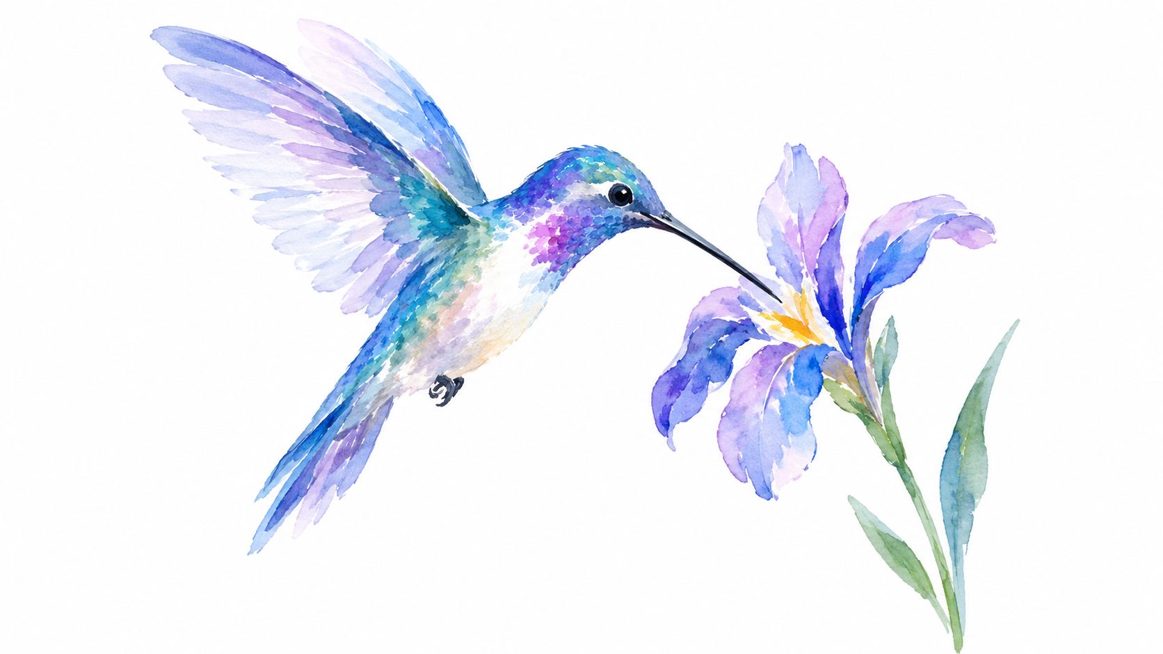 A watercolor painting of a vibrant hummingbird hovering near a beautiful purple iris flower on white.