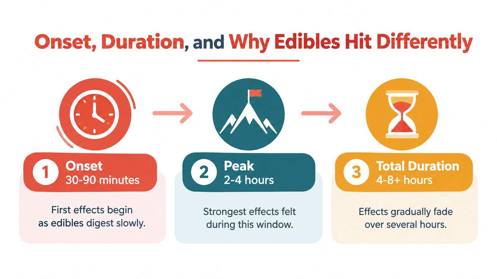 A diagram explaining the onset, peak time, and total duration of edible effects on the body.