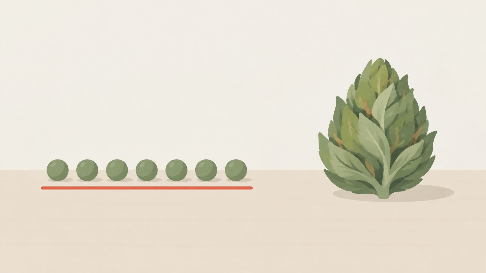 A visual comparison showing a row of seven small cannabis buds next to a large cannabis flower.