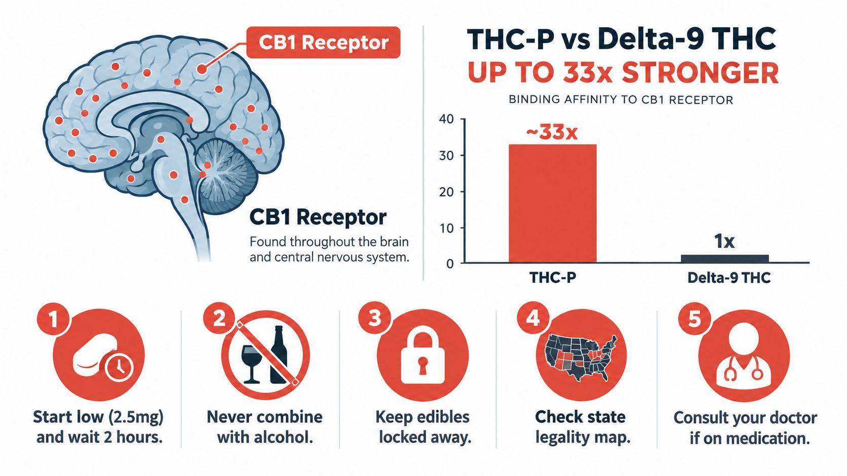 An infographic comparing the binding affinity of THC-P and Delta-9 THC while providing five safety tips.