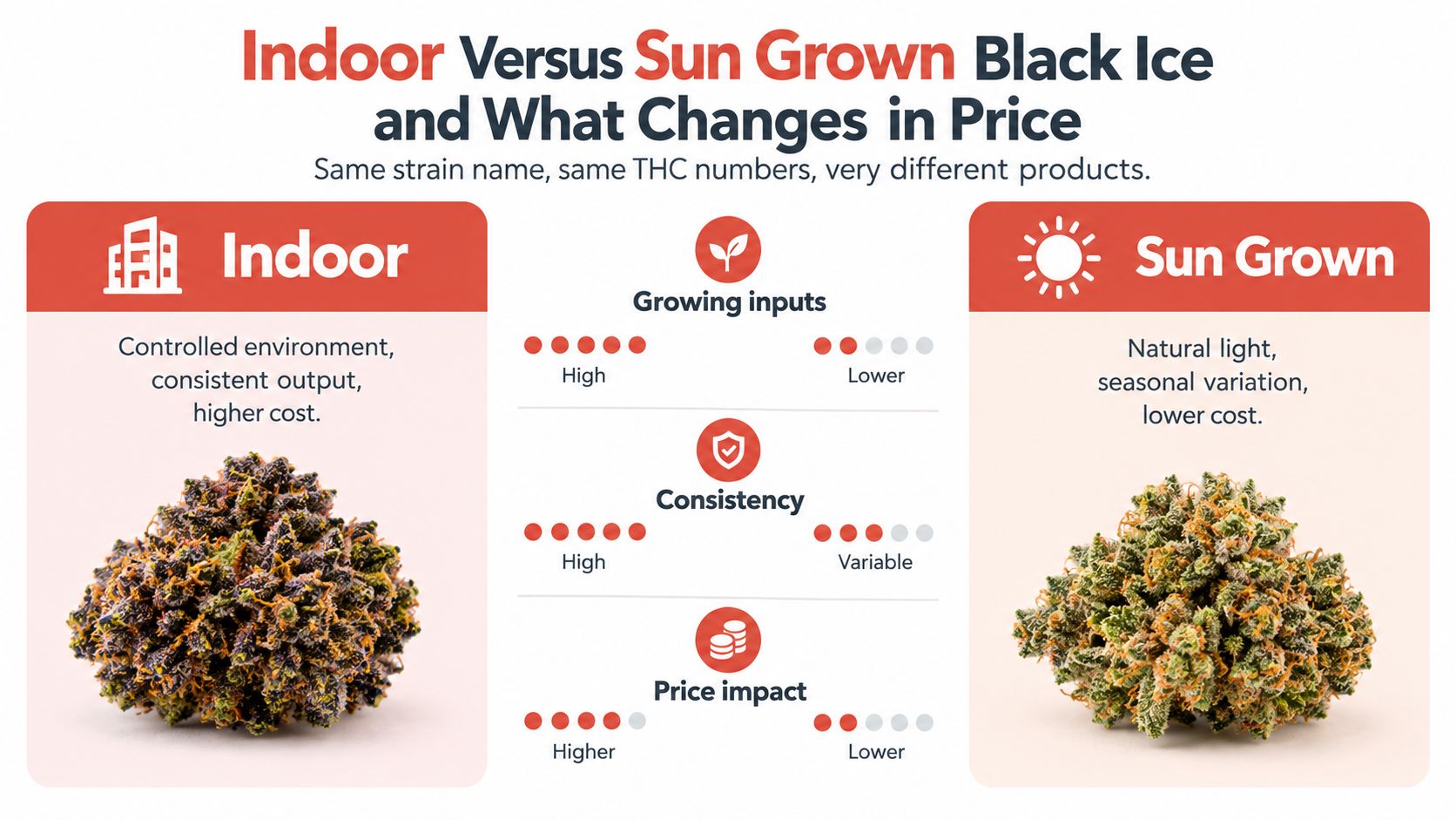 A comparison infographic showing the differences in production and pricing between indoor and sun grown cannabis.