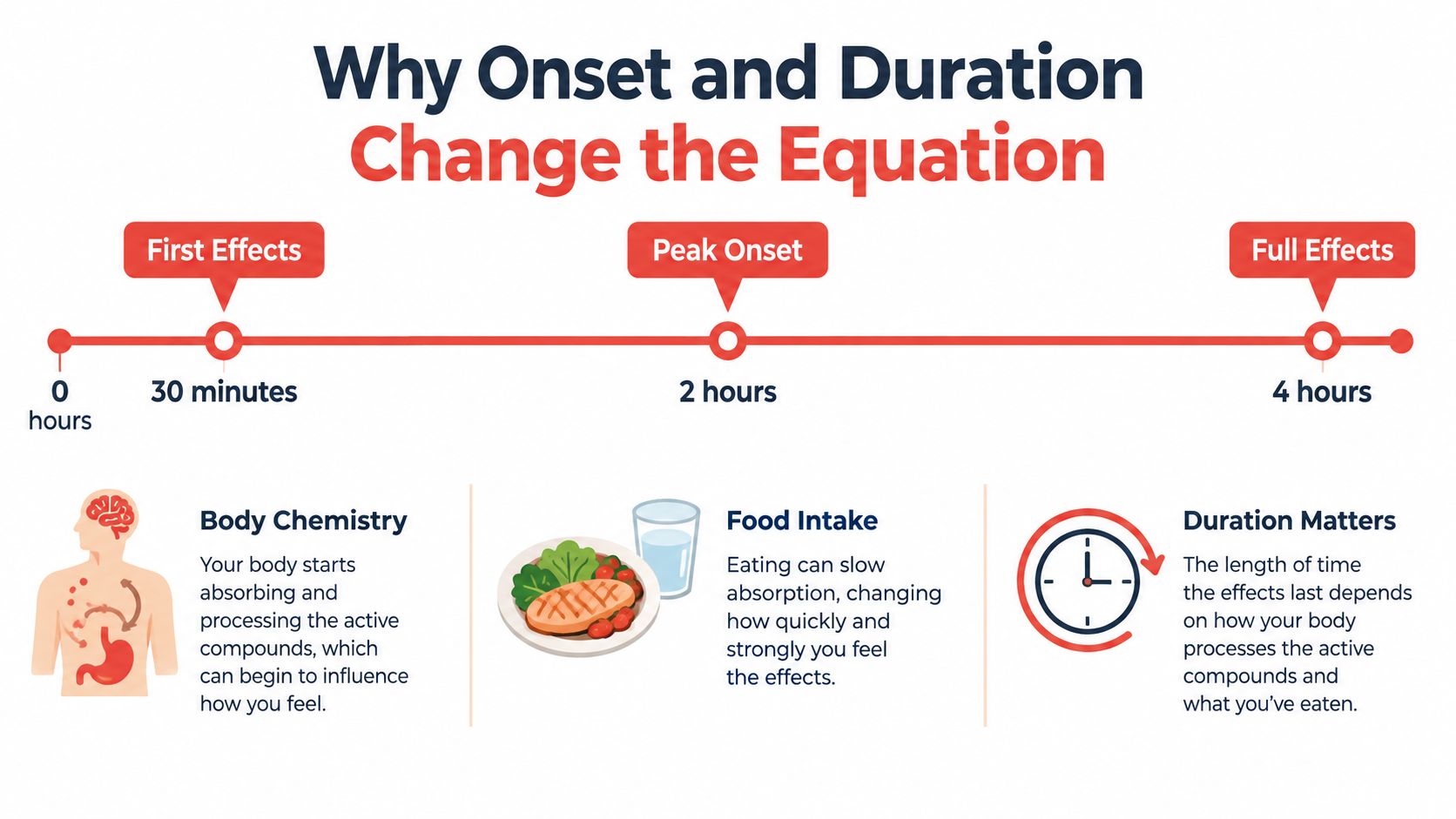 An infographic showing the onset and duration timeline for edible consumption, highlighting factors like body chemistry and food intake.