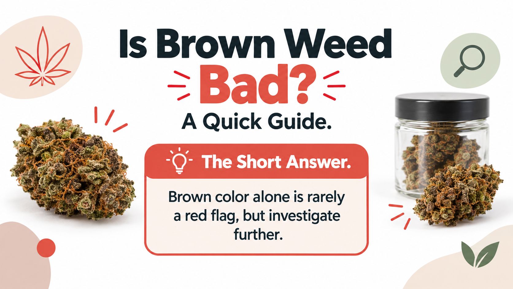 An educational graphic titled Is Brown Weed Bad featuring a cannabis bud and a glass jar.