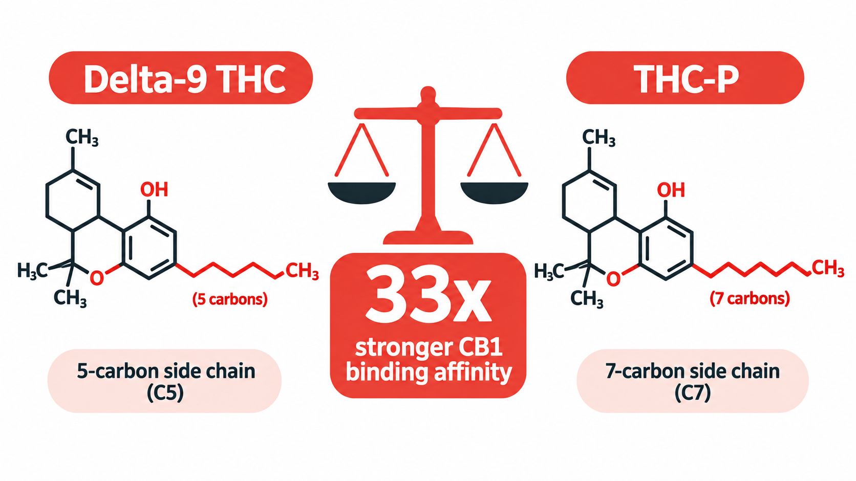 A comparison graphic showing the molecular structures and carbon side chains of Delta-9 THC and THC-P.