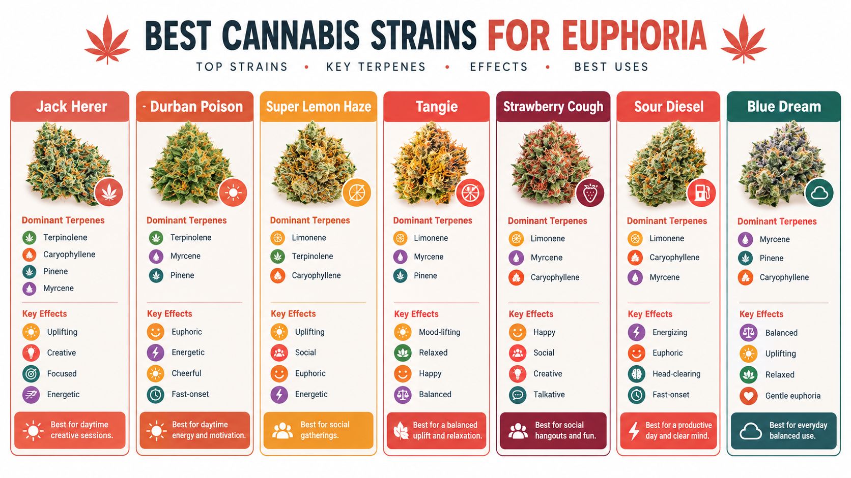 An infographic titled Best Cannabis Strains for Euphoria highlighting popular strains, their dominant terpenes, effects, and uses.