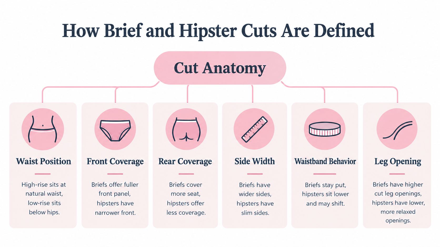 An infographic diagram explaining the anatomical differences between brief and hipster underwear styles based on six criteria.
