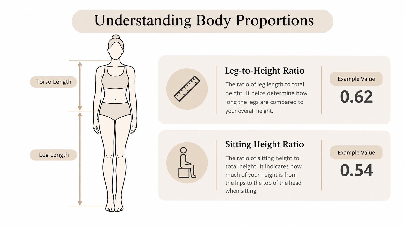 An infographic illustrating body proportions, specifically showing how to measure leg length and sitting height ratios.